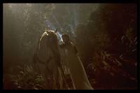 Кадр Властелин колец: Братство кольца