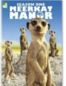 Поместье сурикатов