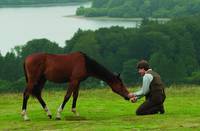 Кадр Боевой конь