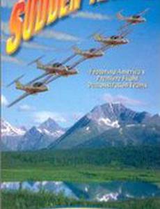 Операция «Гром»