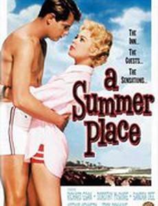 Летнее место