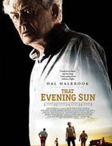 Это вечернее солнце