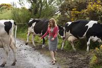 Кадр Как выйти замуж за 3 дня