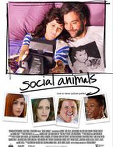 Погоня за любовью