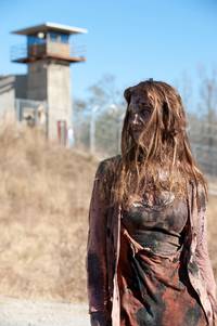 Кадр Ходячие мертвецы