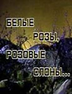 Белые розы, розовые слоны