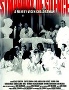 Симфония тишины