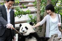 Кадр Сезон хороших дождей