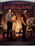 Постер из фильма "Сумерки. Сага. Рассвет: Часть 1" - 1