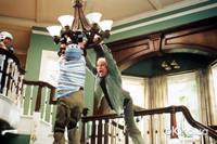 Кадр Оптом дешевле