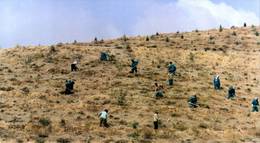 Кадр из фильма "Вкус вишни" - 2