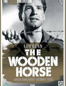 Деревянный конь