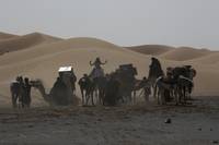 Кадр Королева пустыни