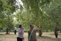 Кадр Дядюшка Бунми, который помнит свои прошлые жизни