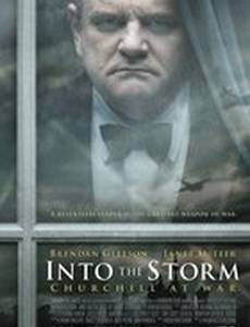 Навстречу шторму