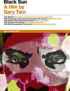 Черное солнце