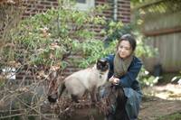 Кадр Поздняя осень