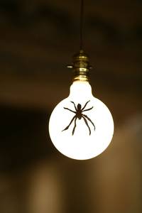 Кадр Тринадцать