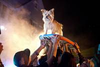 Кадр Проект Х: Ночь без родителей