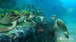 Кадр из фильма "Шевели ластами 3D" - 2