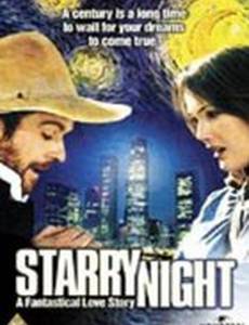 Звездная ночь