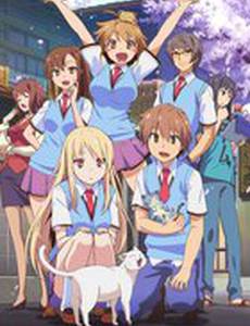 Кошечка из «Сакурасо»