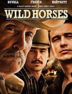 Дикие лошади