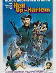 Беспорядки в Гарлеме