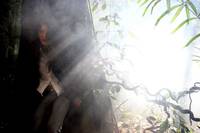 Кадр Лес смерти