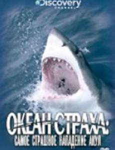 Discovery: Океан страха. Самое страшное нападение акул