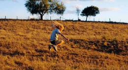 Кадр из фильма "Дерево" - 1