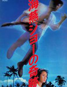 Чудо Джо буревестника