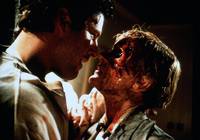 Кадр Кладбище домашних животных