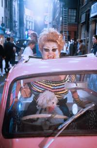 Кадр Абсолютные новички