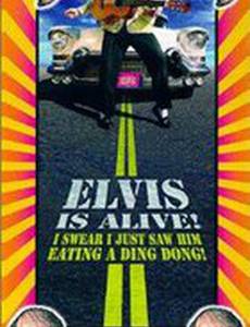 Elvis Is Alive! I Swear I Saw Him Eating Ding Dongs Outside the Piggly Wiggly's