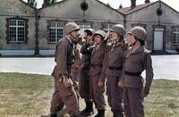 Кадр Новобранцы сходят с ума