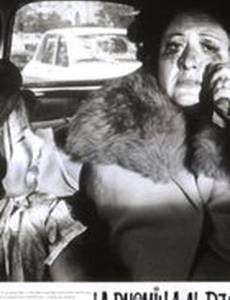 La palomilla al rescate