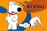 Постер Гриффины