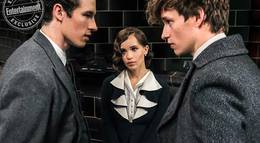 Кадр из фильма "Фантастические твари и где они обитают" - 1