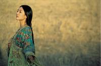 Кадр Семь мечей