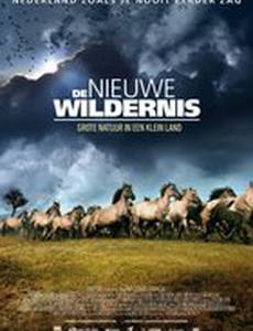 Новая дикая природа