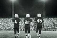 В лучах славы