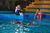 Кадр Рай океана