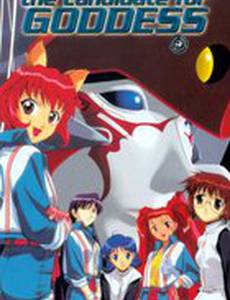 Курсанты для Богинь