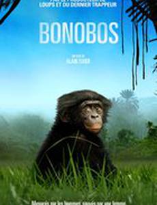 Шимпанзе: Возвращение в дикую природу