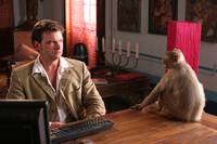 Кадр Кактус