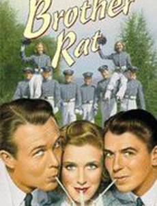 Братец крыса