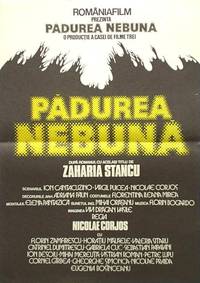 Постер Безумный лес