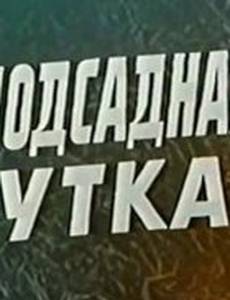 Подсадная утка