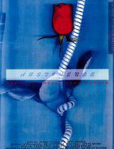 Abstinence Makes the Heart Grow Fonder